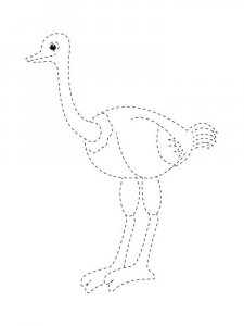 Ostrich coloring page - picture 31