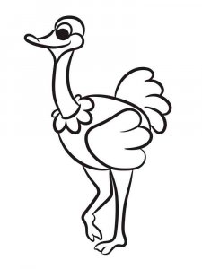 Ostrich coloring page - picture 33