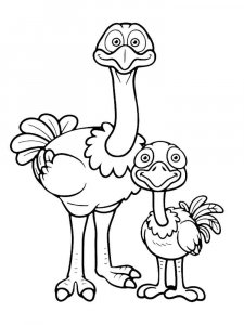 Ostrich coloring page - picture 35