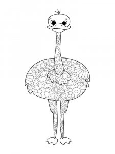 Ostrich coloring page - picture 37