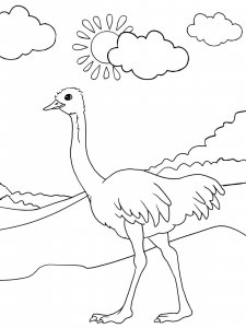 Ostrich coloring page - picture 23