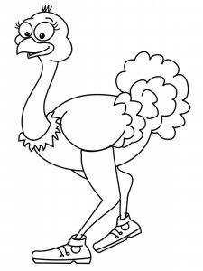 Ostrich coloring page - picture 24