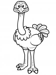 Ostrich coloring page - picture 26