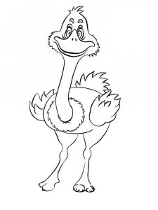 Ostrich coloring page - picture 27
