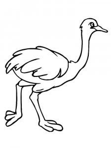 Ostrich coloring page - picture 28