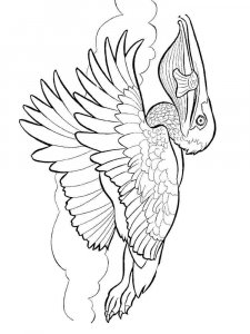 Pelican coloring page - picture 14