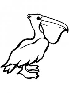 Pelican coloring page - picture 17