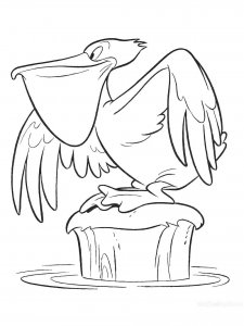 Pelican coloring page - picture 18