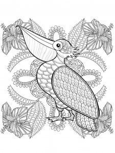 Pelican coloring page - picture 20