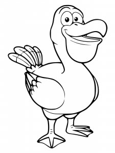 Pelican coloring page - picture 21