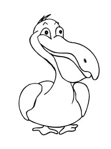 Pelican coloring page - picture 25