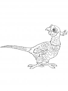 Pheasant coloring page 17 - Free printable