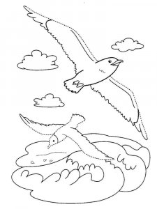 Seagull coloring page 10 - Free printable