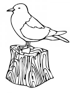 Seagull coloring page 12 - Free printable