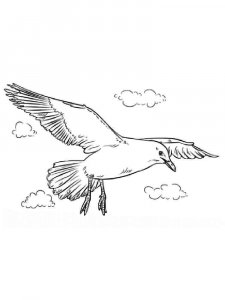 Seagull coloring page 15 - Free printable