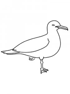 Seagull coloring page 16 - Free printable