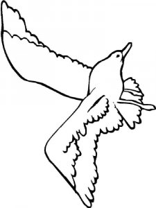 Seagull coloring page 2 - Free printable