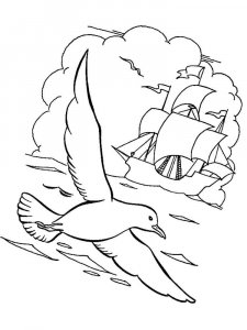 Seagull coloring page 17 - Free printable