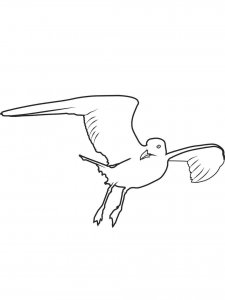 Seagull coloring page 26 - Free printable