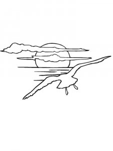 Seagull coloring page 28 - Free printable