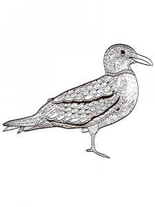 Seagull coloring page 29 - Free printable