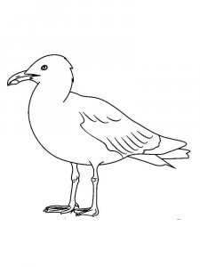 Seagull coloring page 18 - Free printable