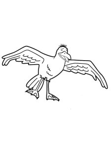 Seagull coloring page 19 - Free printable
