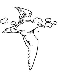Seagull coloring page 21 - Free printable