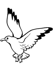 Seagull coloring page 22 - Free printable