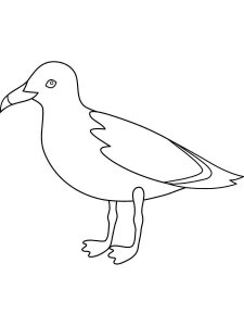 Seagull coloring page 25 - Free printable