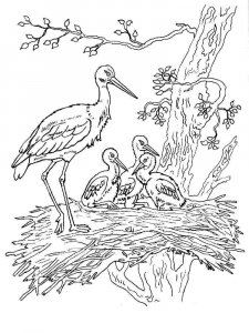 Stork coloring page 1 - Free printable