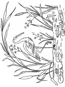Stork coloring page 10 - Free printable