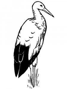 Stork coloring page 11 - Free printable