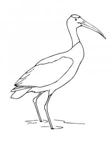 Stork coloring page 15 - Free printable