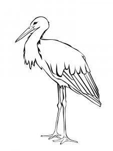 Stork coloring page 6 - Free printable
