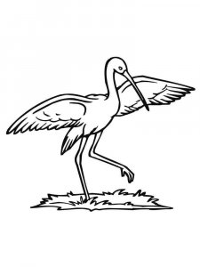 Stork coloring page 8 - Free printable