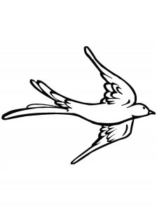 Swallow coloring page 26 - Free printable