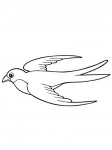 Swallow coloring page 19 - Free printable