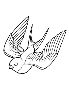 Swallow coloring page 21 - Free printable