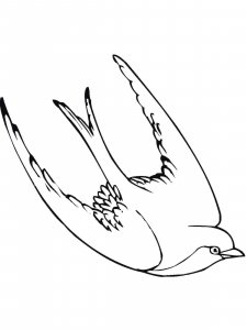 Swallow coloring page 23 - Free printable
