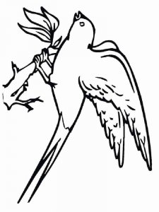 Swallow coloring page 10 - Free printable