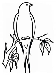 Swallow coloring page 12 - Free printable