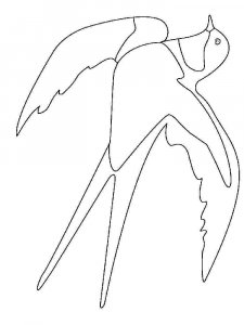 Swallow coloring page 13 - Free printable