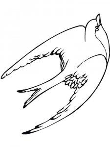 Swallow coloring page 7 - Free printable