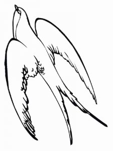 Swallow coloring page 9 - Free printable