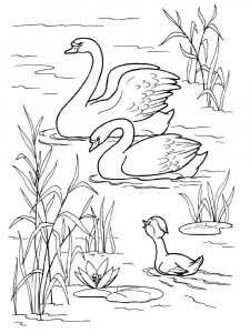 Swan coloring page 1 - Free printable