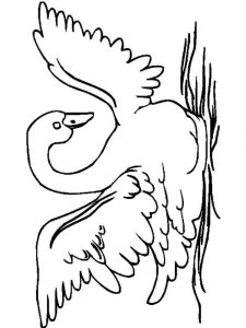 Swan coloring page 11 - Free printable