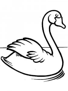 Swan coloring page 14 - Free printable