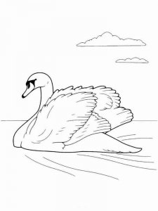 Swan coloring page 2 - Free printable
