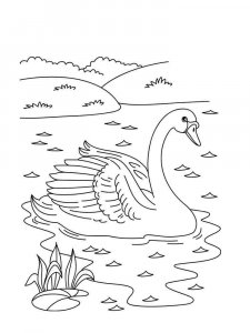 Swan coloring page 3 - Free printable